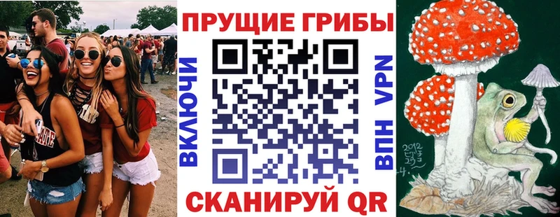 Галлюциногенные грибы мухоморы  Устюжна 